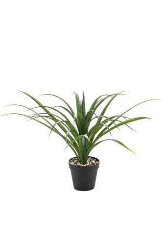Yucca UV In Pot Tak Zijde - 35cm
