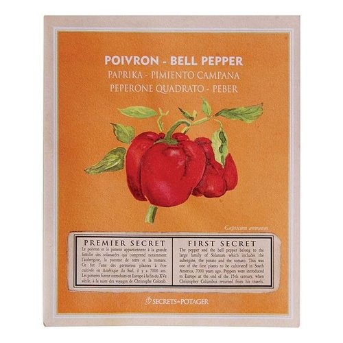 Zaadpakket Paprika