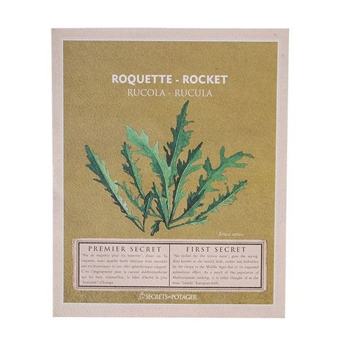 Zaadpakket Rucola