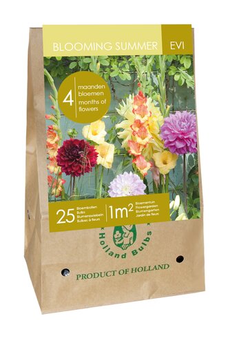 ZAK / BAG 25 BULBS - BLOOMING SUMMER EVI