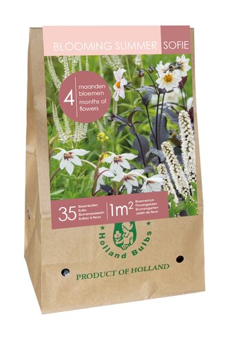 ZAK / BAG 35 BULBS - BLOOMING SUMMER SOFIE