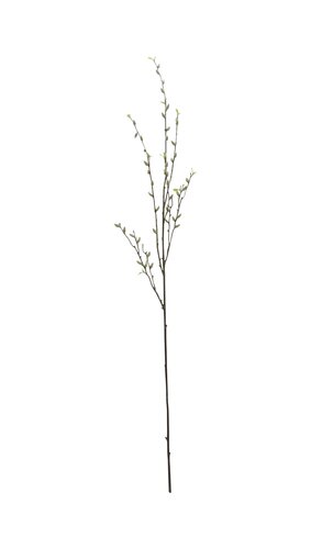 Zijde tak Wilgenkatjes L 135 cm