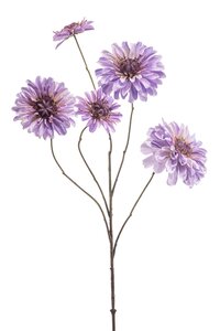 Zinnia Tak Zijde - 88cm Lila