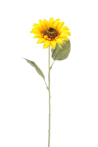 Zonnebloem Tak Zijde - 62cm Geel